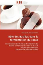 R le Des Bacillus Dans La Fermentation Du Cacao