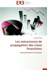 Les mecanismes de propagation des crises financieres