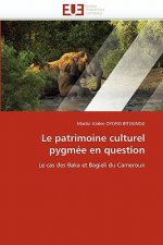 Le Patrimoine Culturel Pygm e En Question