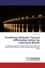 Predicting Attitudes Toward Affirmative Action by Individual Beliefs