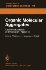 Organic Molecular Aggregates