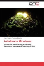 Asfaltenos Micelares