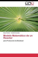 Modelo Matematico de un Reactor