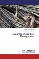 Sugarcane Seed Sett Management