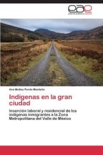 Indigenas en la gran ciudad