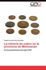 mineria de cobre en la provincia de Michoacan