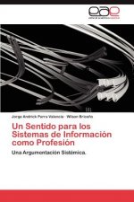 Sentido Para Los Sistemas de Informacion Como Profesion