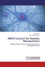 ANFIS Control for Robotic Manipulators