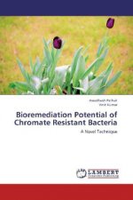 Bioremediation Potential of Chromate Resistant Bacteria