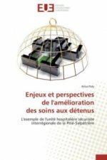 Enjeux et perspectives de l'amélioration des soins aux détenus