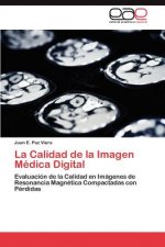 Calidad de la Imagen Medica Digital