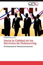 Hacia la Calidad de los Servicios de Outsourcing