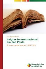 Imigracao Internacional em Sao Paulo