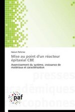 Mise Au Point d'Un Reacteur Epitaxial CBE