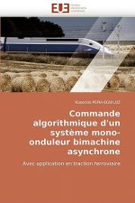 Commande Algorithmique d''un Syst me Mono-Onduleur Bimachine Asynchrone