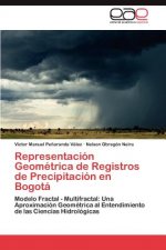 Representacion Geometrica de Registros de Precipitacion en Bogota