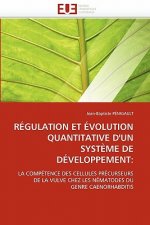 Regulation et evolution quantitative d'un systeme de developpement