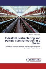 Industrial Restructuring and Denizli: Transformation of a Cluster