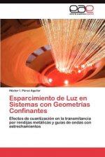 Esparcimiento de Luz en Sistemas con Geometrias Confinantes