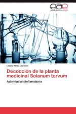 Decoccion de la planta medicinal Solanum torvum