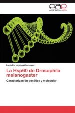 Hsp60 de Drosophila Melanogaster