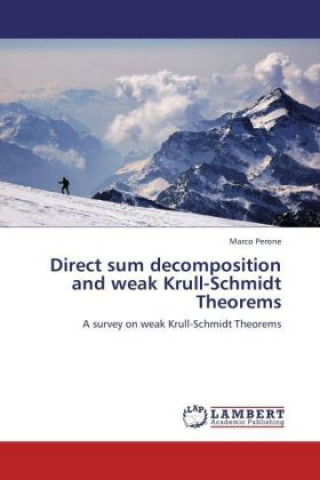 Direct sum decomposition and weak Krull-Schmidt Theorems
