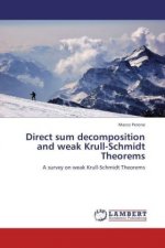 Direct sum decomposition and weak Krull-Schmidt Theorems