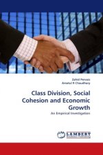 Class Division, Social Cohesion and Economic Growth