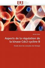 Aspects de la R gulation de la Kinase Cdc2-Cycline B