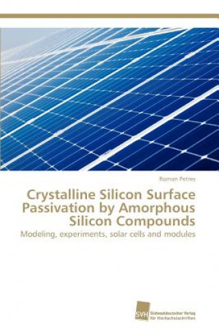 Crystalline Silicon Surface Passivation by Amorphous Silicon Compounds