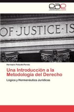 Introduccion a la Metodologia del Derecho