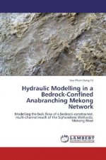Hydraulic Modelling in a Bedrock-Confined Anabranching Mekong Network