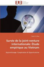 Survie de la Joint-Venture Internationale
