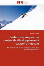 Gestion Des Risques Des Projets de D veloppement   Caract re Innovant