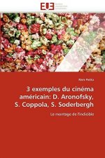 3 Exemples Du Cin ma Am ricain