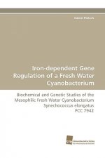 Iron-Dependent Gene Regulation of a Fresh Water Cyanobacterium