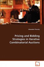 Pricing and Bidding Strategies in Iterative Combinatorial Auctions