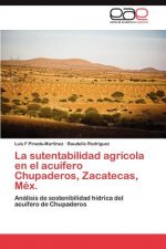 Sutentabilidad Agricola En El Acuifero Chupaderos, Zacatecas, Mex.