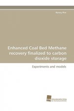 Enhanced Coal Bed Methane Recovery Finalized to Carbon Dioxide Storage