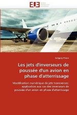 Les Jets D'Inverseurs de Poussee D'Un Avion En Phase D'Atterrissage