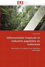 D forestation Tropicale Et Industrie Papeti re En Indon sie