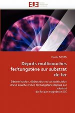 D pots Multicouches Fer/Tungst ne Sur Substrat de Fer