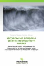Aktual'nye voprosy fiziki poverkhnosti okeana