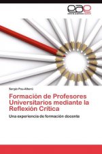 Formacion de Profesores Universitarios mediante la Reflexion Critica