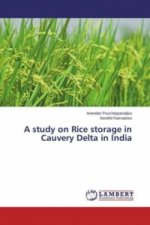 A study on Rice storage in Cauvery Delta in India