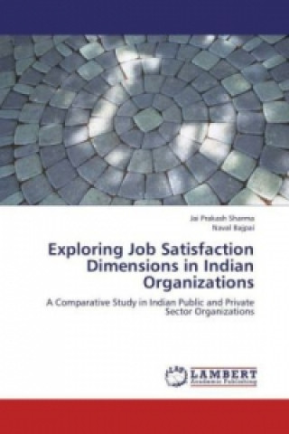 Exploring Job Satisfaction Dimensions in Indian Organizations