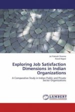 Exploring Job Satisfaction Dimensions in Indian Organizations