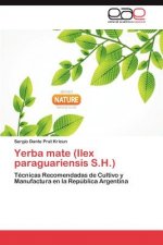 Yerba Mate (Ilex Paraguariensis S.H.)