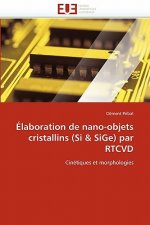 laboration de Nano-Objets Cristallins (Si Sige) Par Rtcvd