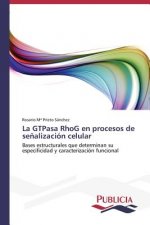 GTPasa RhoG en procesos de senalizacion celular